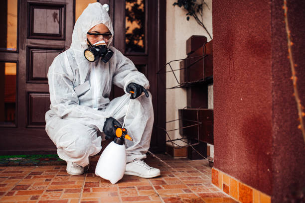 Reliable Ant Control contractor in Danville, AR by Show Me Pest Control